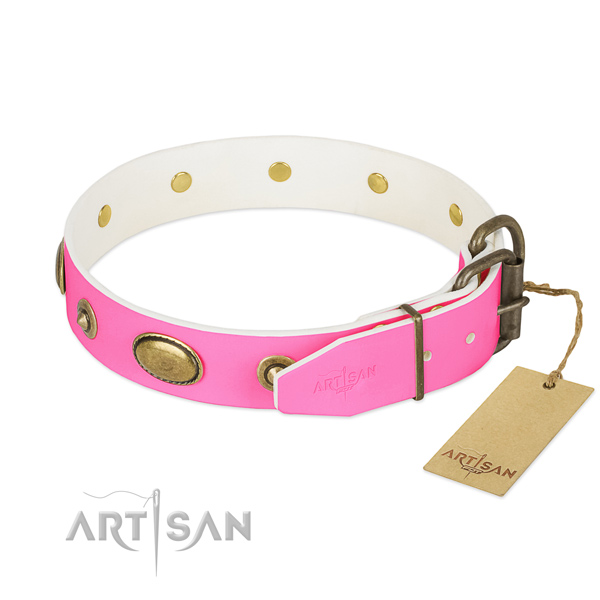 Corrosion resistant embellishments on full grain leather dog collar for your pet