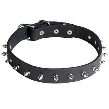 Amstaff Dog Leather Collar Steel Nickel Plates Spikes