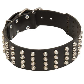 2 Inches Leather   Amstaff Collar Extra Wide Studded