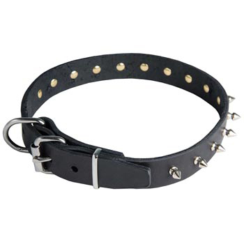 Amstaff Leather Collar with Spikes