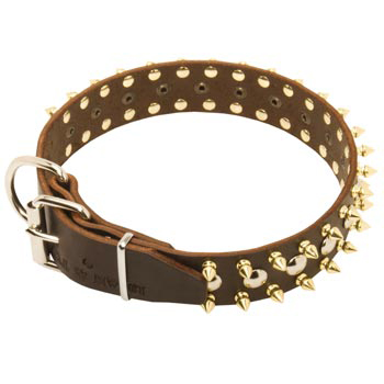Leather Amstaff Collar with Rust-proof Decoration