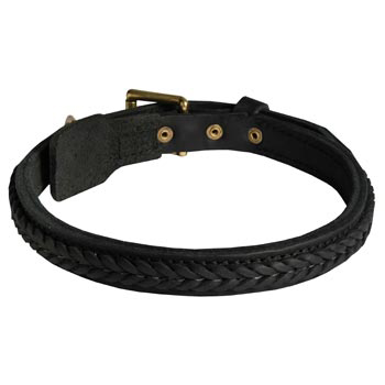 Braided Leather Collar for Amstaff