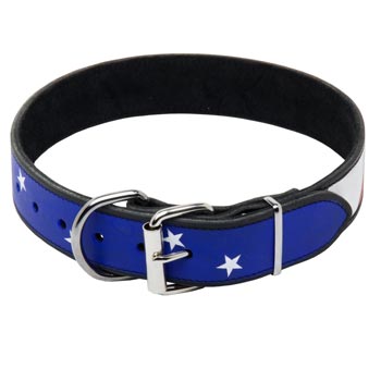 Amstaff Leather Collar With American  Flag Painting