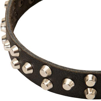 Leather Amstaff Collar Durable Stud Decorated