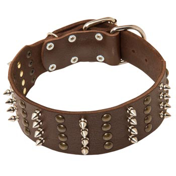 Leather Collar for Amstaff Walking in Style 