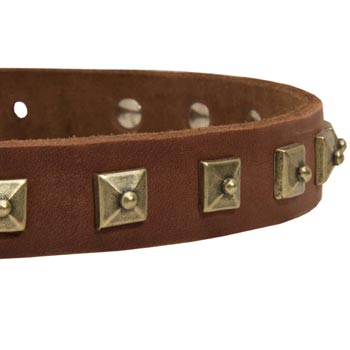 Amstaff Leather Collar With Square  Studs