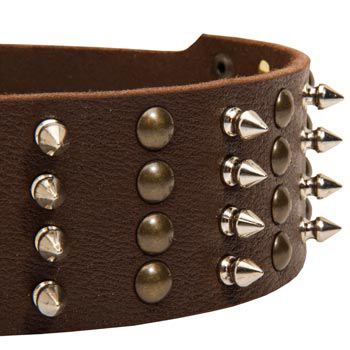 Amstaff Leather Collar with Rust-proof Fittings