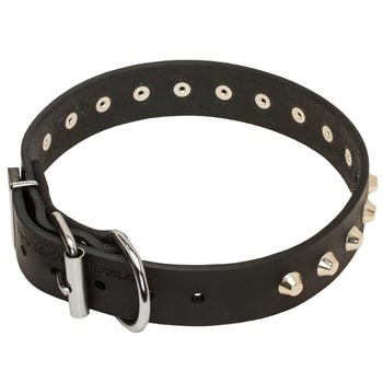 Training Walking Leather Dog Collar with Buckle for Amstaff