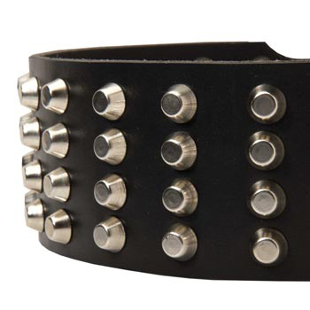 Leather Dog Collar with Studs for   Amstaff