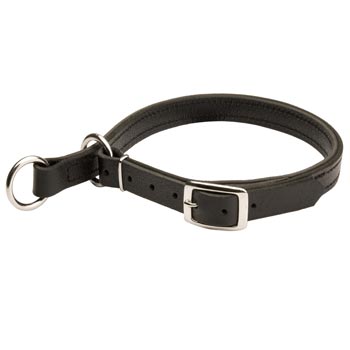 Amstaff Obedience Training Choke  Leather Collar