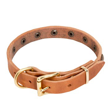 Amstaff Leather Collar with Studs