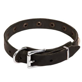 Leather Dog Puppy Collar with Steel Nickel Plated Studs for Amstaff