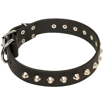 Soft Leather Amstaff Collar with Nickel Studs
