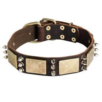 War-Style Leather Dog Collar for Amstaff