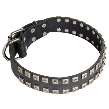Leather Amstaff Collar Wide Strong Studded