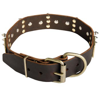 Spiked Leather Amstaff Collar