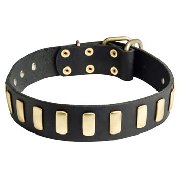 Amstaff Collar Leather with Brass Hardware