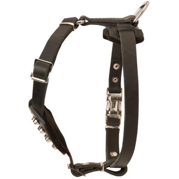 Leather Amstaff Puppy Harness for Comfy Walking