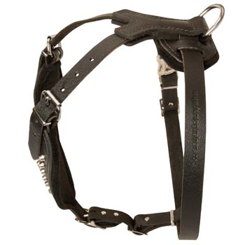 Custom Made Leather Amstaff Harness