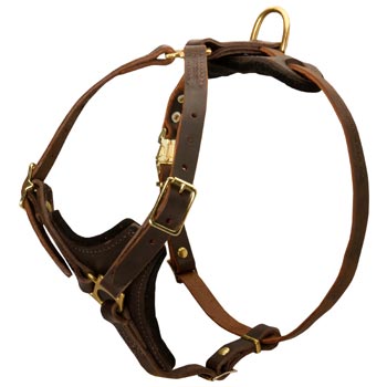 Amstaff Harness Y-Shaped Brown Leather Easy Adjustable for Best Fit