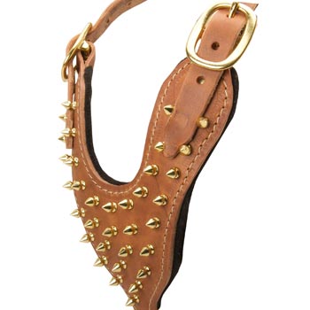 Brass Spiked Leather Amstaff Harness