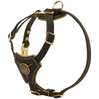 Walking Training Leather Puppy Harness for Amstaff