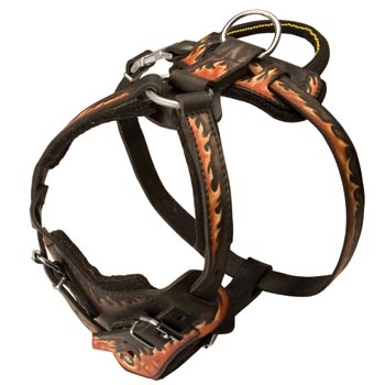 Leather Dog Harness with Handle for Amstaff Training