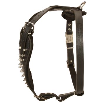 Adjustable Leather Harness for Amstaff