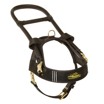 Amstaff Leather Guide Harness with ID Patches