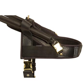 Amstaff Guide Harness Leather for Mobility Assistance