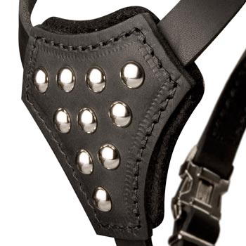 Amstaff Harness Leather with Studded  Breast Plate