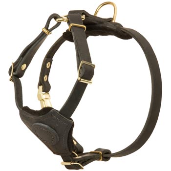 Light Weight Leather Puppy Harness for Amstaff
