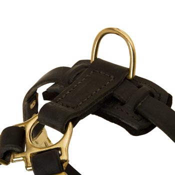 D-ring on Leather Amstaff Harness for Puppy Training