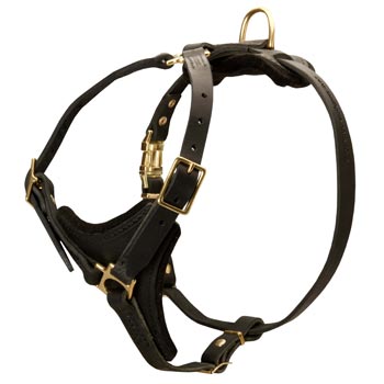 Amstaff Harness Black Leather with Padded Chest Plate for Training
