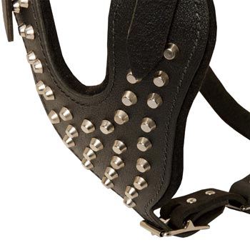 Studded Chest Plate Leather Amstaff Harness