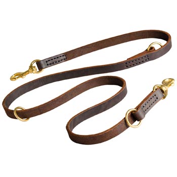 Leather Leash for Amstaff Everyday Walking