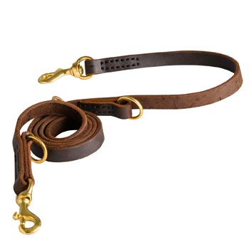 Strong Leather Leash for Amstaff Successful Training