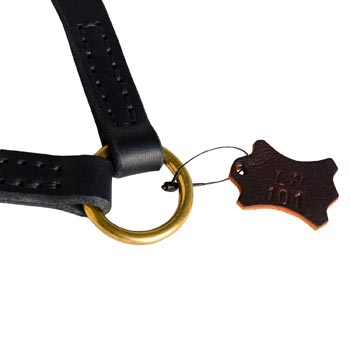 Amstaff Leather Coupler with Rust-proof O-ring