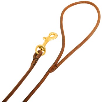 Leather Amstaff Leash with Comfy Round Hnadle