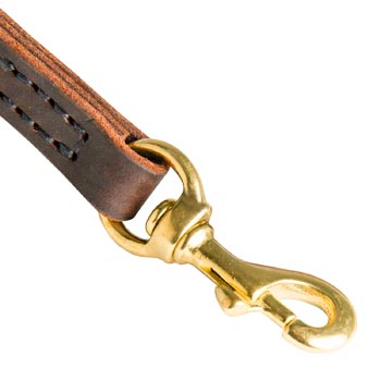 Amstaff Leather Leash with Brass Hardware