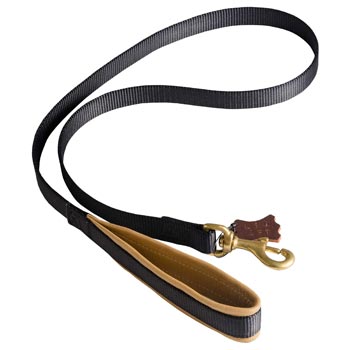 Special Nylon Dog Leash Comfortable to Use for Amstaff