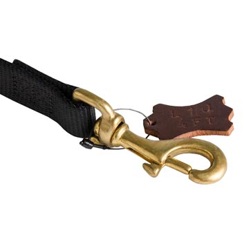 Nylon Amstaff Leash with Dependably Stitched Brass Snap Hook