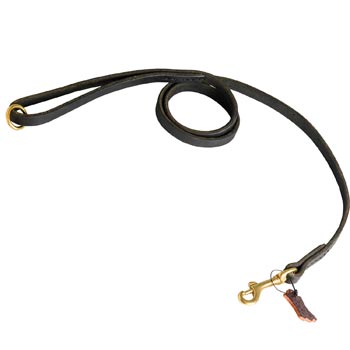 Strong Leather Amstaff Leash for Popular Dog Activities