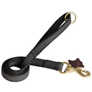Nylon Leash for Amstaff Training will Help to Achieve Great Results