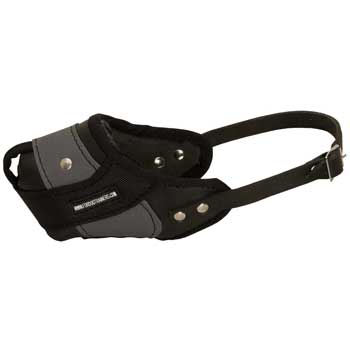 Amstaff Muzzle Leather and Nylon for Walking and Training