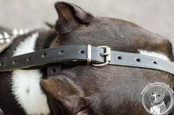 Easy to fit wire cage Amstaff muzzle