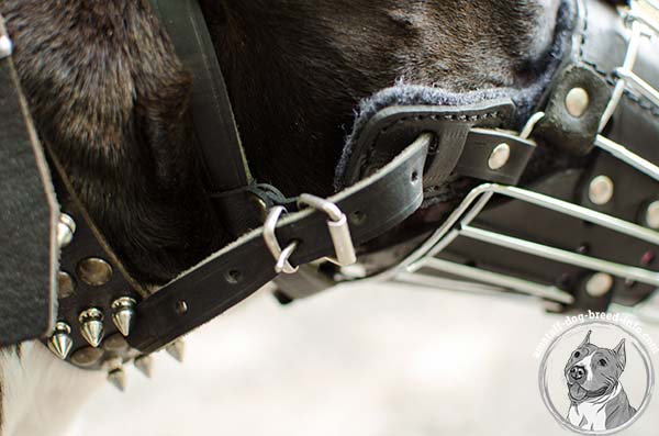 Amstaff wire basket muzzle of high quality with traditional buckle for basic training