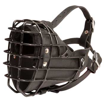 Winter Fully Wire Amstaff Padded Muzzle Cage
