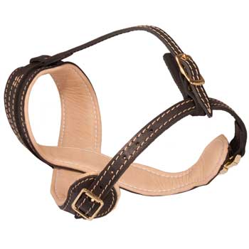 Amstaff Muzzle Leather Easy Adjustable with Quick Release Buckle