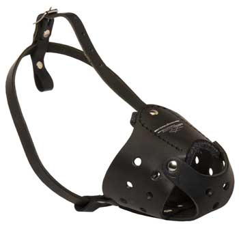 Walking Leather Muzzle for Amstaff